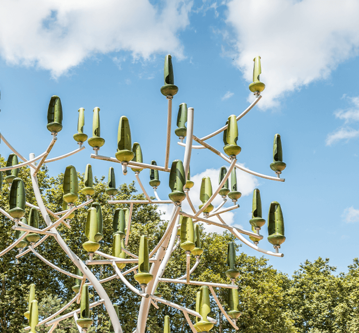 Biomimicry_ (1)