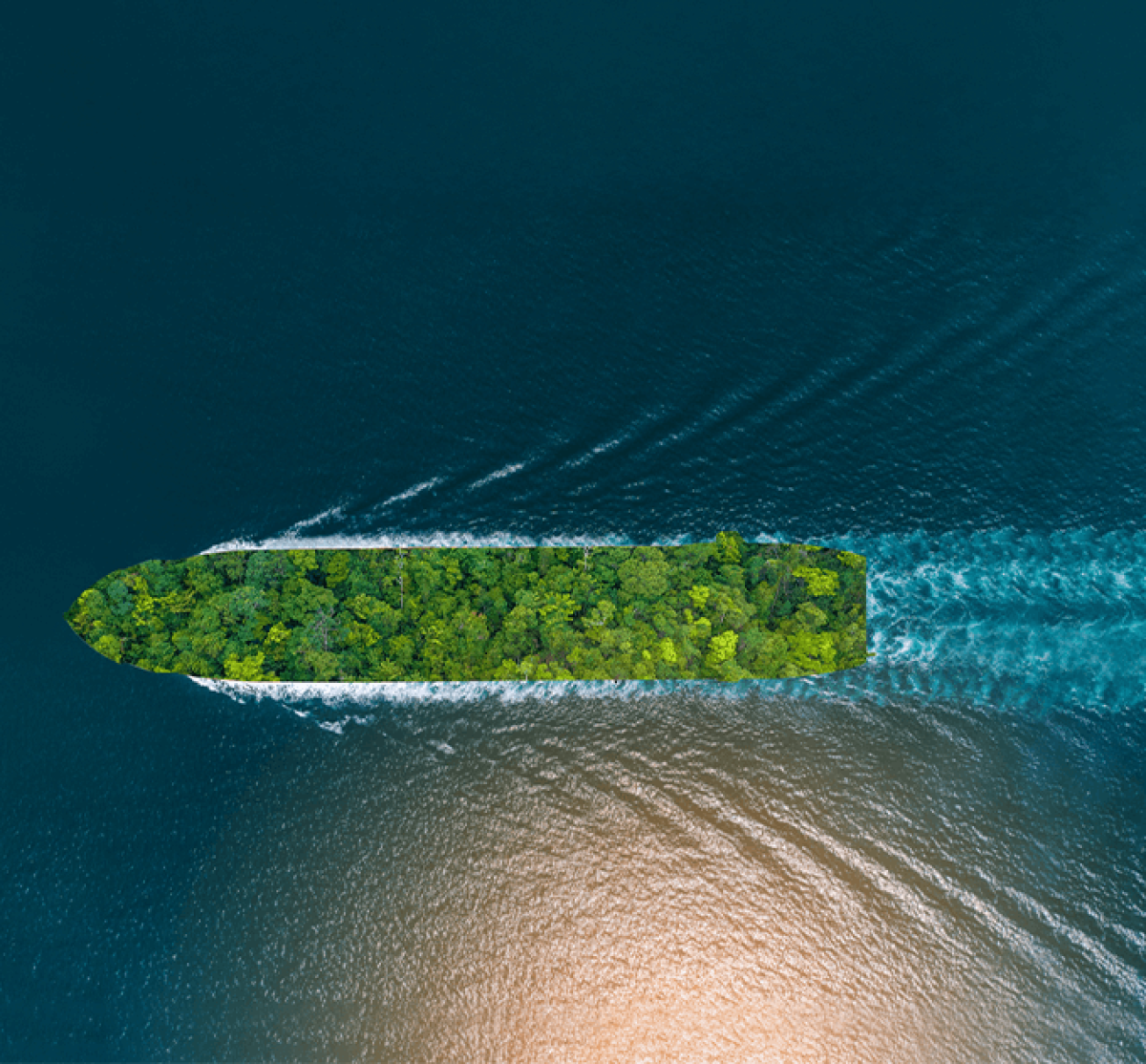 Blue-economy (1)